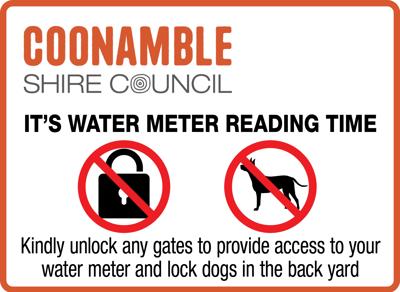 Water meter reading this month